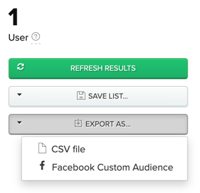 Exporting to CSV or Facebook Custom Audience